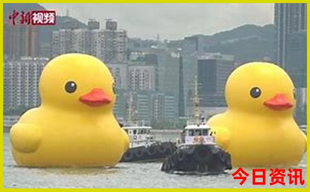 洪湖旅游必去十大景点