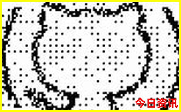 名茶排行榜前十名